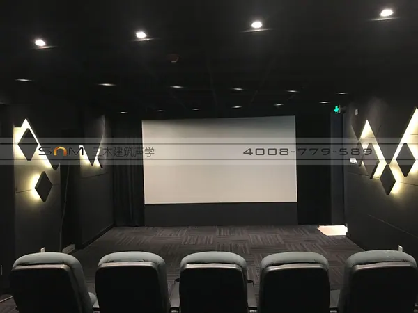 黑蚂蚁视听室装修工程项目图片